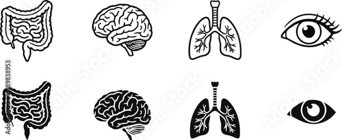 Human Internal Organs Icon Set Featuring Brain Lungs Intestines and Eye Symbols in Hand Drawn and Flat Silhouette Vector Styles for Medical Education and Healthcare Design