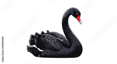 Graceful black swan swimming serenely, showcasing its dark plumage and bright red bill, depicted in a flat design style on white.