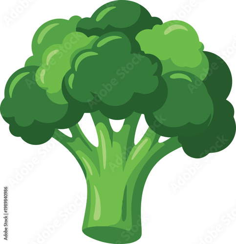 Fresh Green Broccoli Floret Illustration, Organic Vegetable Vector Isolated on White