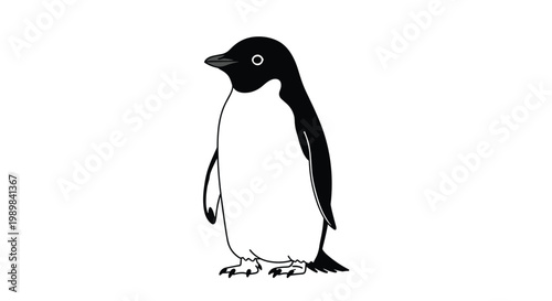 Simple black and white Adelie penguin standing upright, capturing its classic, charming silhouette on a clean white background.