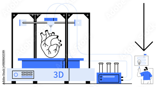 3D printing, medical technology, healthcare, organ development, innovation, future medicine, biotechnology. A 3D printer producing a human heart beside a scientist with a monitor. 3D printing