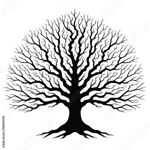 Black silhouette of a leafless oak tree with intricate branches, bare winter tree vector illustration, gothic nature element for logo design