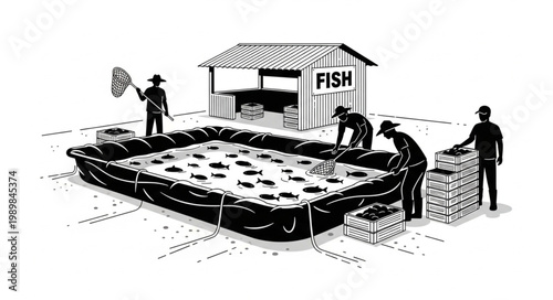 Fish Farming Aquaculture Pond Harvest.