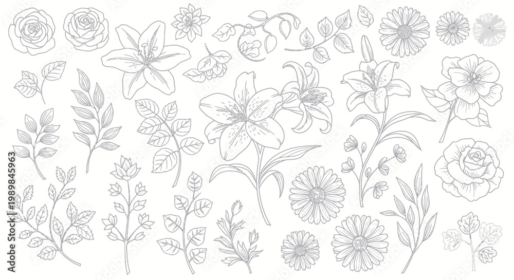 Fototapeta premium Hand-drawn line art floral elements and leaves in grey scale