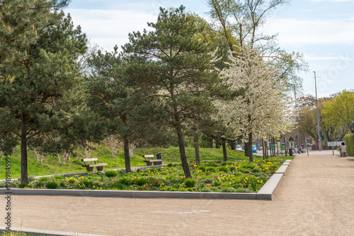 Fotografía A well designed park garden features blooming trees and flower beds