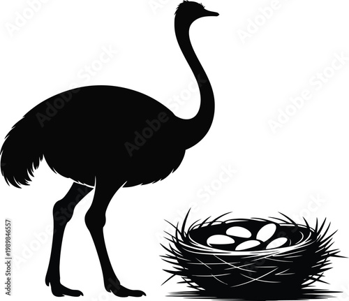 Black silhouette of an ostrich standing next to a nest with eggs