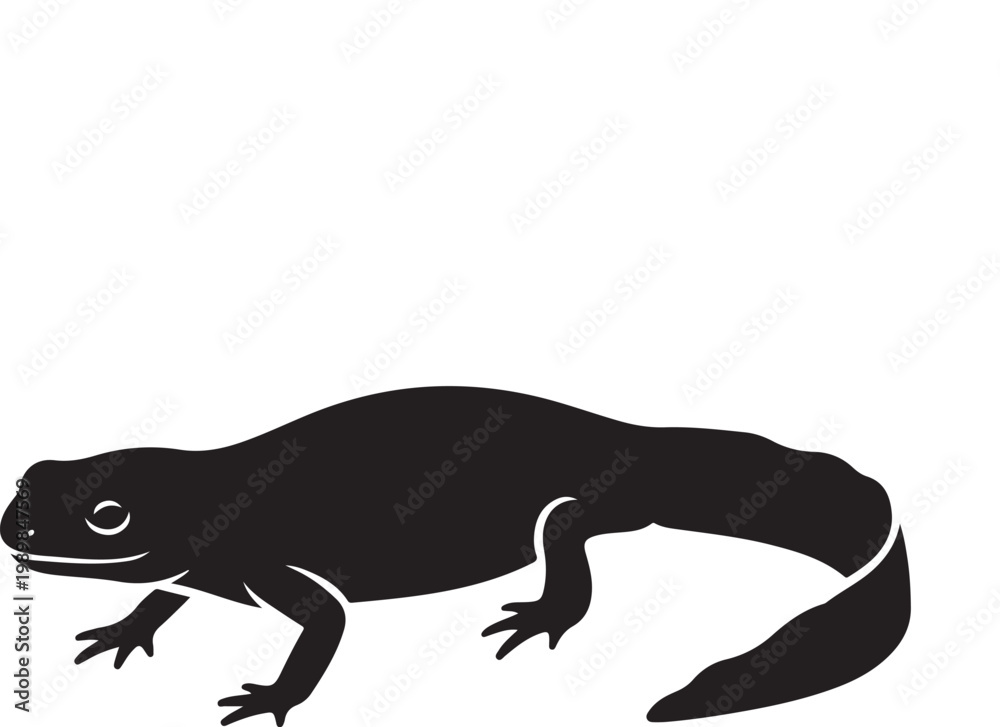 Obraz premium lizard on white background