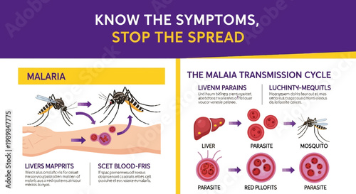 Comprehensive infographic illustrating the malaria transmission cycle, its symptoms, and crucial strategies for global public health awareness and disease prevention