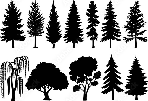 Collection of Black Silhouette Trees Isolated White Background for