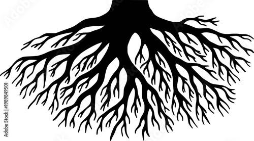 Black silhouette of intricate tree roots spreading outwards a white background