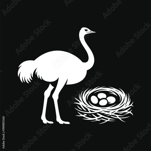 White ostrich and nest with eggs on black background