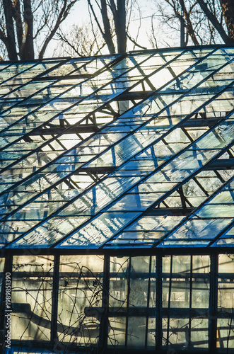 Abandoned greenhouse with broken windows and sunlight, bare trees visible in early spring.
