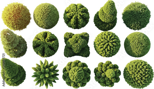 Top Down View Collection of Various Decorative Garden Trees and Shrubs