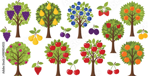 Fruit Trees with Grapes, Pears, Apples, and Berries for Nature, Gardening, and Fresh Produce Illustrations