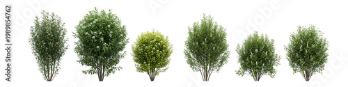 Green Bushes Collection Isolated Transparent Background Garden Shrubs Set