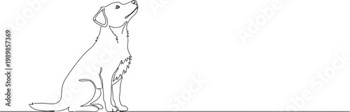 Sketch of a sitting cat with a focused gaze