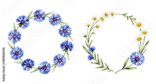 watercolor wreath, floral wreath, cornflower wreath, daisy wreath, blue flowers, white daisies, botanical illustration, floral arrangement, circle wreath, wedding decor, rustic flowers, hand painted w