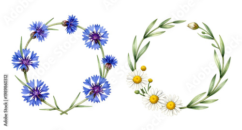 watercolor wreath, floral wreath, cornflower wreath, daisy wreath, blue flowers, white daisies, botanical illustration, floral arrangement, circle wreath, wedding decor, rustic flowers, hand painted w