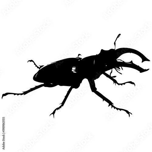 Silhouette of a stag beetle with large mandibles on a white background