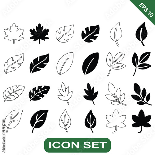 Leaf Icon Set Outline and Solid Style Nature Botanical Eco Symbols
