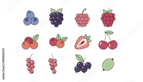 A colorful illustration of various fruits on a white background