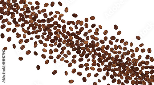 Roasted Coffee Beans Scattered on White Background Texture