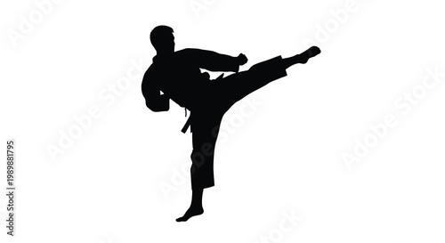 Silhouette of a martial artist performing a dynamic kick against a white background