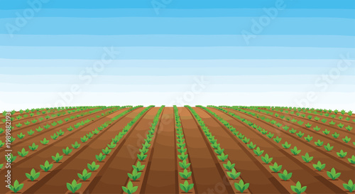 A vast agricultural field features neat rows of vibrant green seedlings planted in rich brown soil under a perfectly clear and bright blue summer sky.