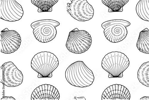 Seamless black and white line pattern of various seashells white background
