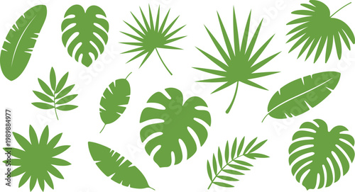 Tropical green leaf silhouettes, collection of 13 exotic jungle plant leaves, monstera and palm frond vector elements for summer design