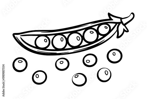 Hand-drawn of a pea pod with scattered peas a white background, vegetable food