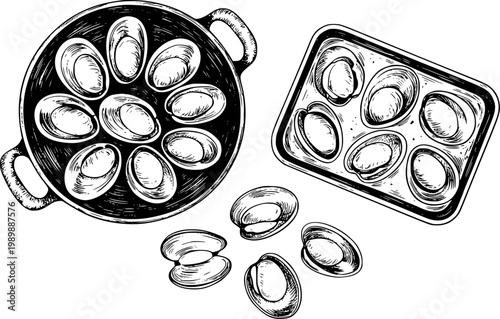Hand-drawn of oysters in pan and tray with loose shells white background seafood