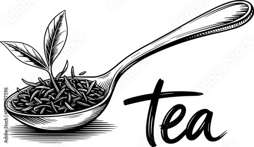 Canvas Print Hand-drawn spoonful of tea leaves with sprout and handwritten word tea herb
