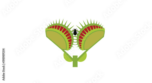A vibrant green Venus flytrap plant displays its symmetrical spiky lobes while a small black insect crawls precariously near the sensitive red inner trigger hairs.