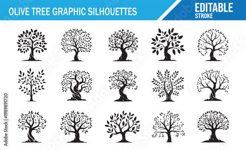 Mediterranean olive tree silhouettes collection in black