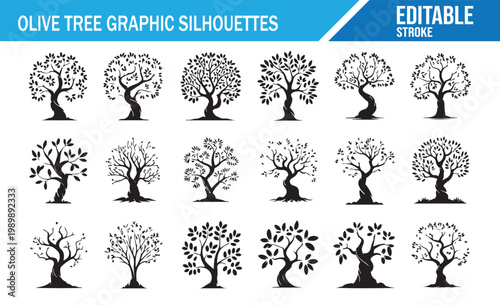 Decorative olive tree graphics set for agriculture and orchard concepts