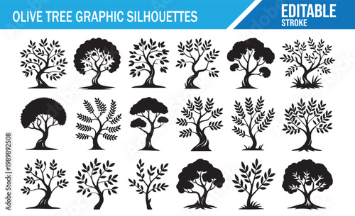 Botanical olive tree silhouette bundle for rustic design use