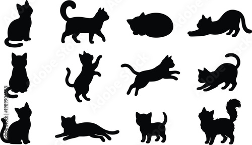 Vector illustration of cats in various poses and designs