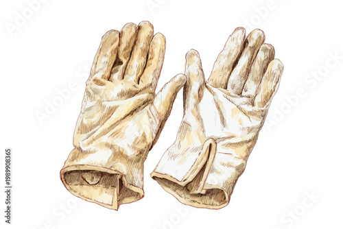 Vintage leather gloves on white background