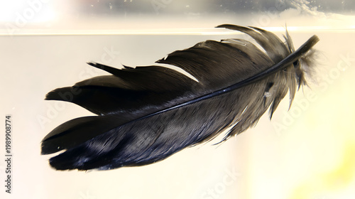 Black feather floating in liquid symbolizing financial stability and economic growth