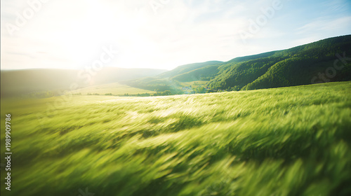 Green field with rolling hills symbolizing trust, reliability, and security