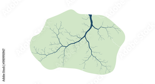 A dark navy branching pattern spreads across a soft mint green organic shape set against a pristine white background with minimalist clean aesthetics.