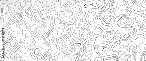 Topography background. Vector banner. Topography map background. Vector geographic contour map. Background of the topographic map. Topographic map lines, contour background.
