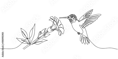 Continuous line drawing of a hummingbird and flower in minimal style.
