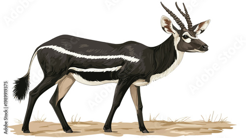 A digitally rendered image of a black and white antelope standing on a ground with sparse grass