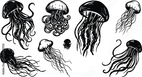 Black and white hand drawn jellyfish set with eight ink line art vectors