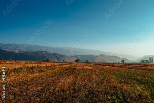 Wide field landscape with mountains under clear blue sky, Kyrgyzstan