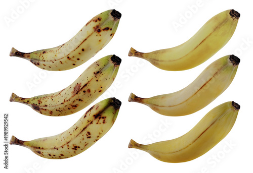 Isolated Yellow Ripe Bananas In Different Stage Of Ripeness With Brown Sugar Spots Senescence Spots 3d Illustration