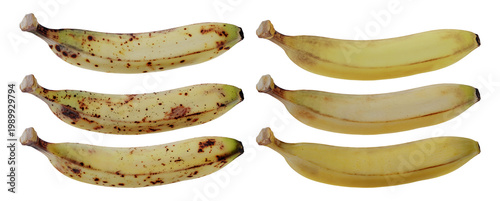 Isolated Yellow Ripe Bananas In Different Stage Of Ripeness With Brown Sugar Spots Senescence Spots 3d Illustration