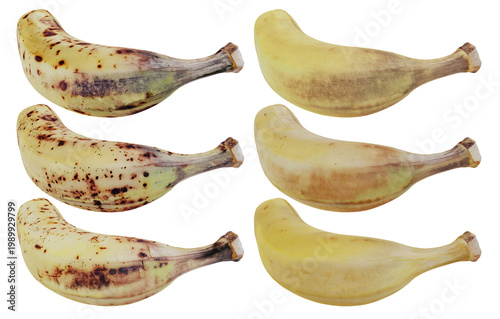 Isolated Yellow Ripe Bananas In Different Stage Of Ripeness With Brown Sugar Spots Senescence Spots 3d Illustration